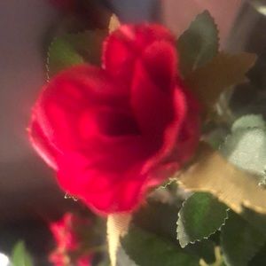 Meet your Posher, Cephas